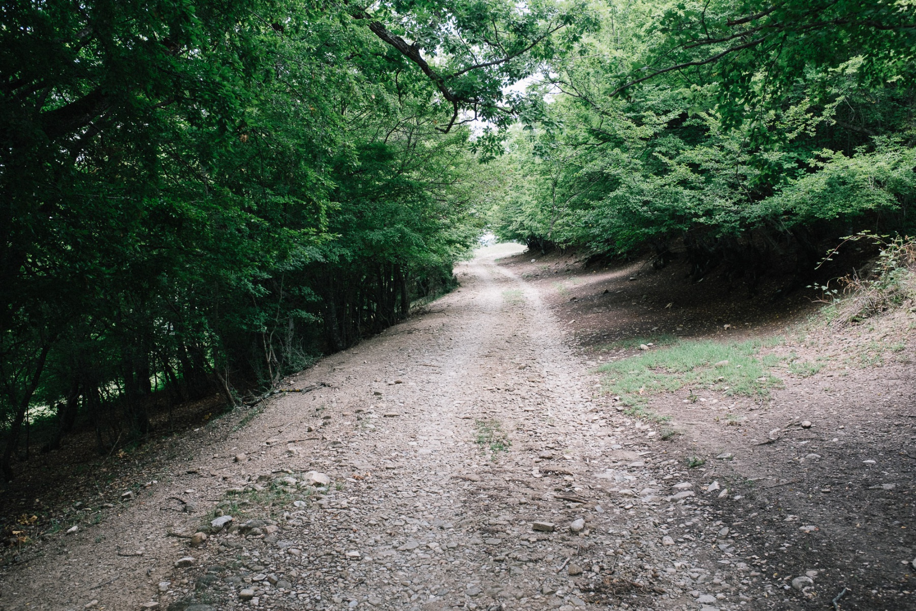 Hard roads to cycle in Georgia