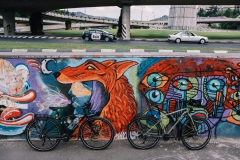 Avaghon touring bicycles in Tbilisi, Georgia