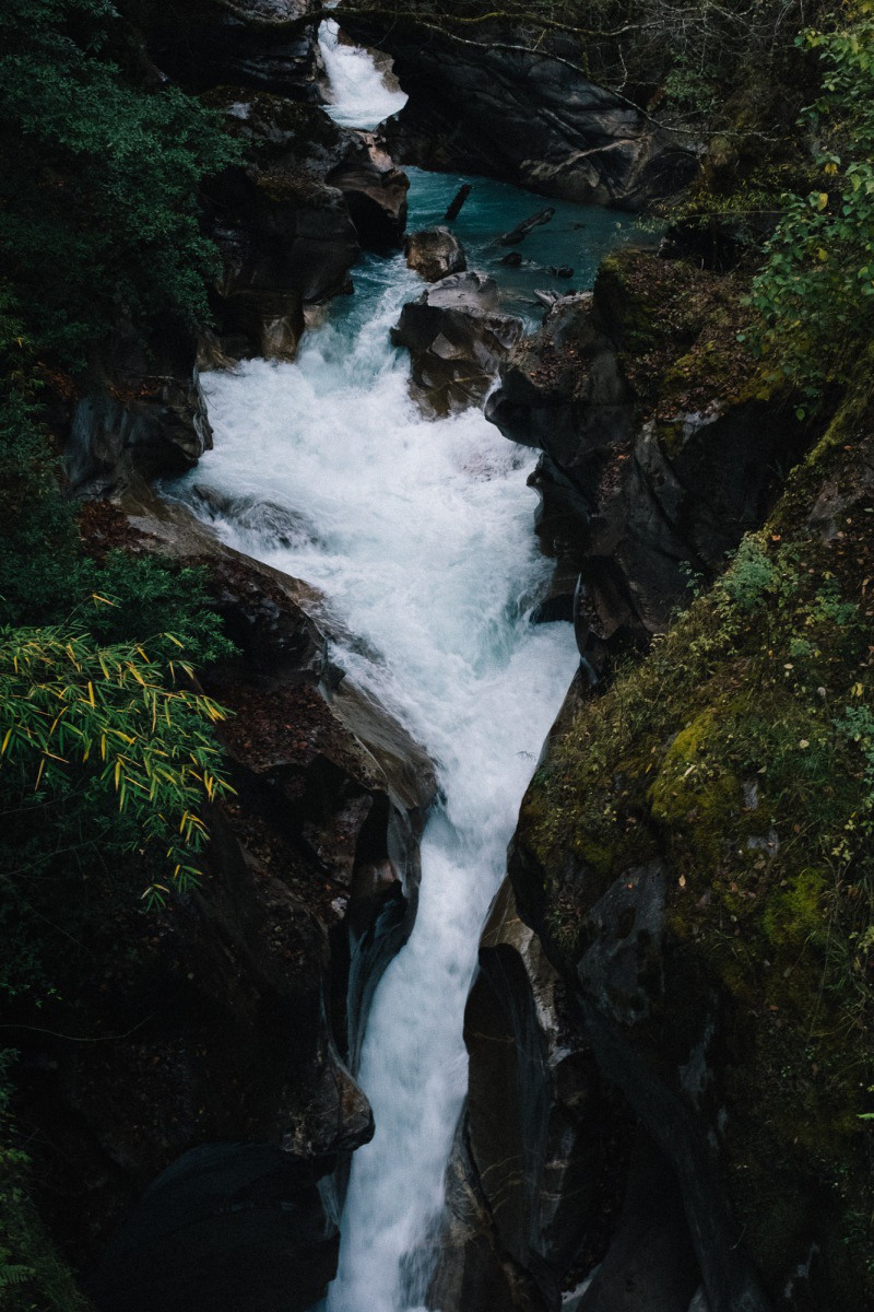 DSCF7163
