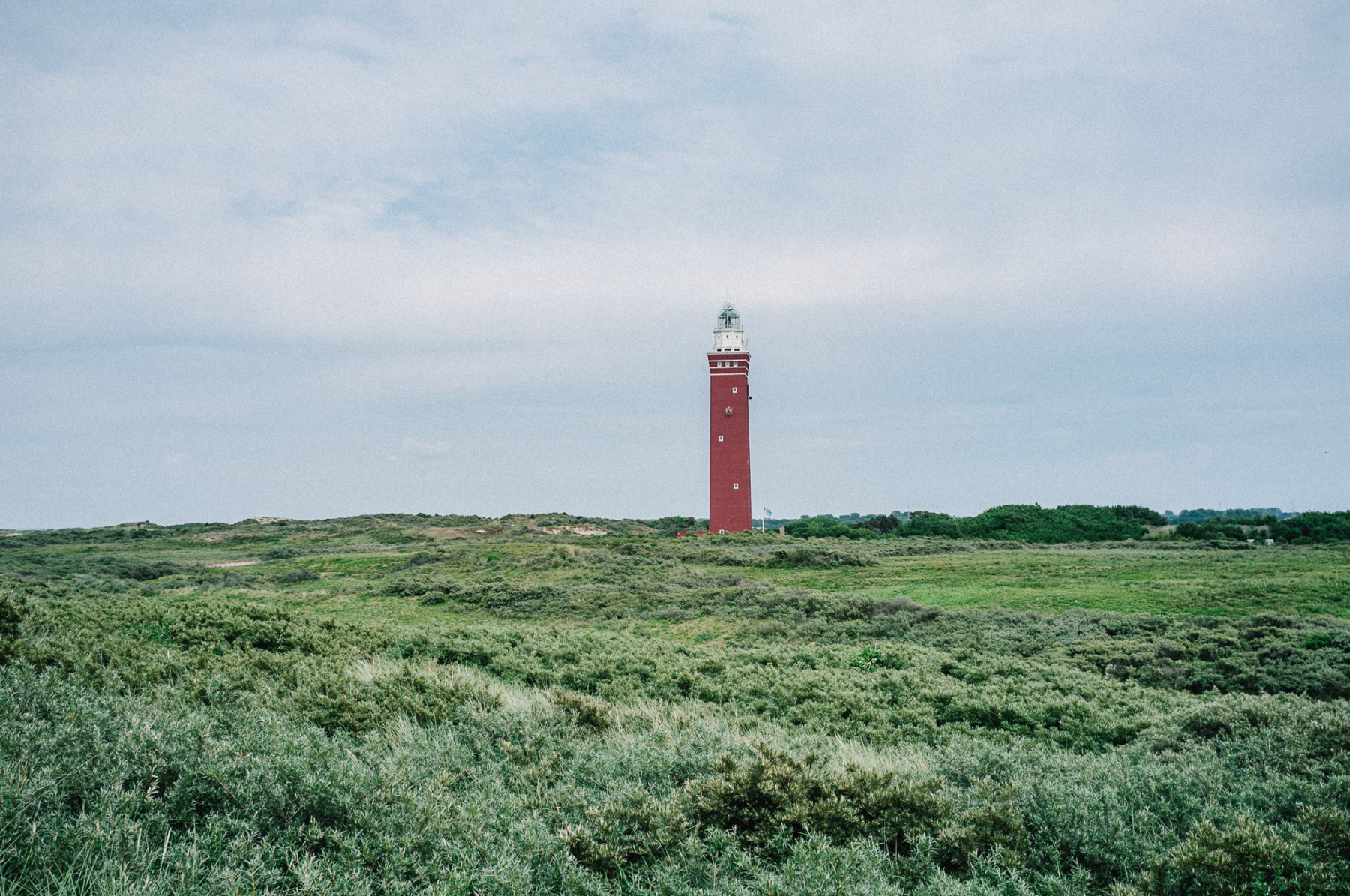 20190609-_DSF2746