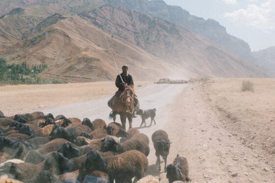 Shepherd Pamir Highway