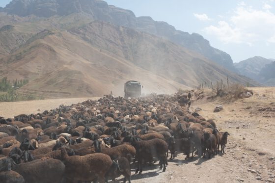 Cycling Pamir Highway
