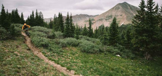Joey Schusler — The Colorado Trail