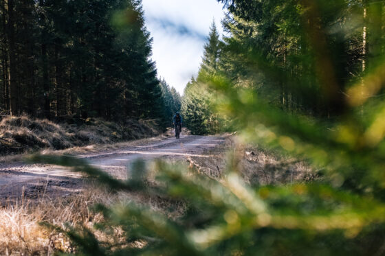 Gravel cycling in Sweden, Dirty Halland 2021