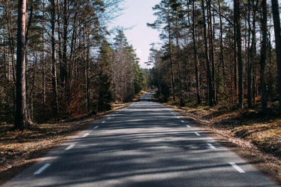 Gravel cycling in Sweden, Dirty Halland 2021