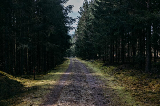 Gravel cycling in Sweden, Dirty Halland 2021