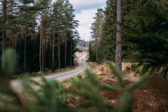 Gravel cycling in Sweden, Dirty Halland 2021