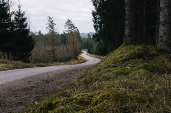 Gravel cycling in Sweden, Dirty Halland 2021
