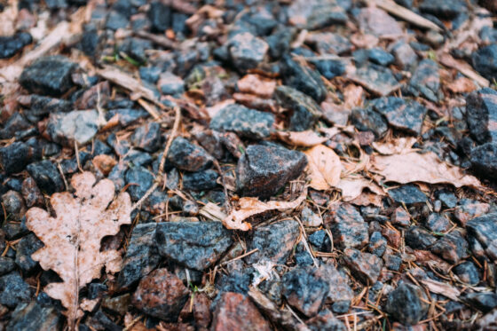 Gravel cycling in Sweden, Dirty Halland 2021