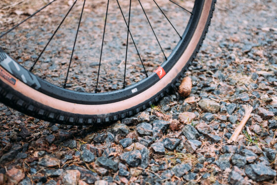 Gravel cycling in Sweden, Dirty Halland 2021