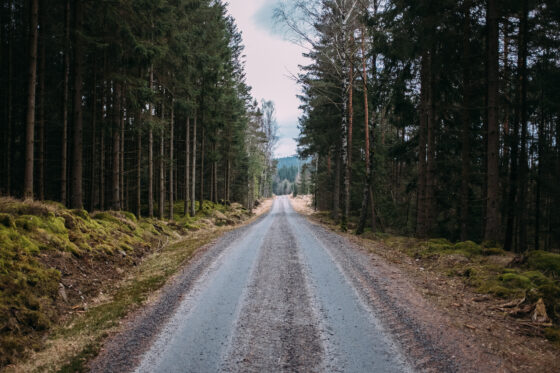 Gravel cycling in Sweden, Dirty Halland 2021