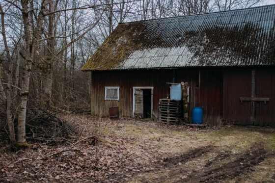 Gravel cycling in Sweden, Dirty Halland 2021