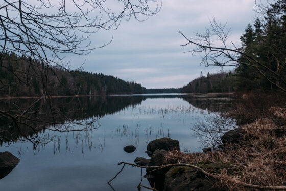 Gravel cycling in Sweden, Dirty Halland 2021