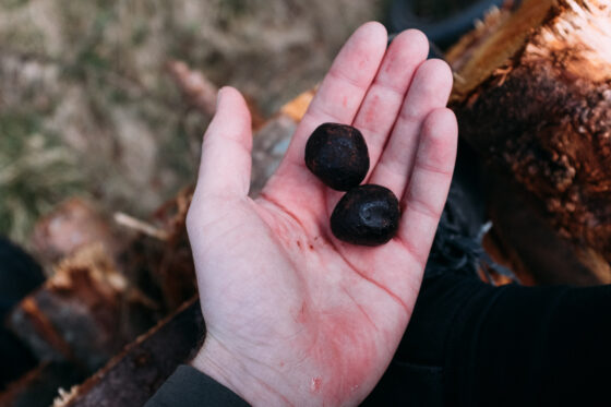 homemade energyballs cycling snack