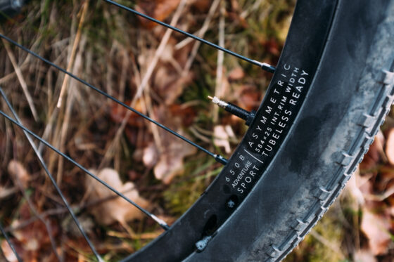 Tubeless ready rim 650b bikepacking wheels