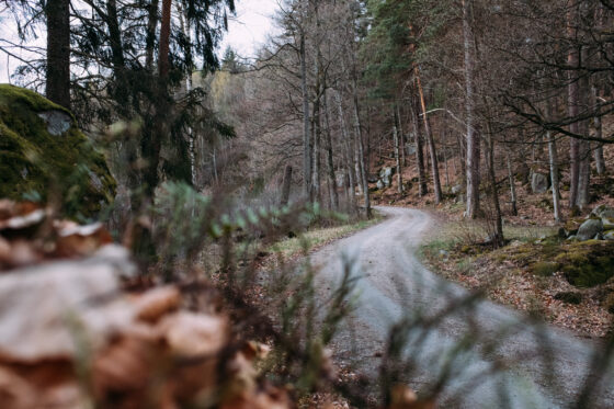 Typical Swedish gravel road, also known as sportgrus