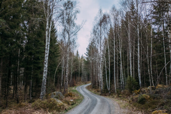 Fantastic gravel road in Skåne, Sweden