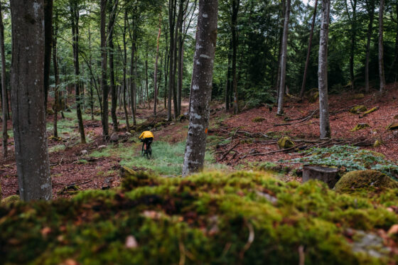 Bikepacking the Blekingeleden