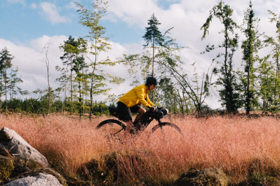 Bikepacking the Blekingeleden