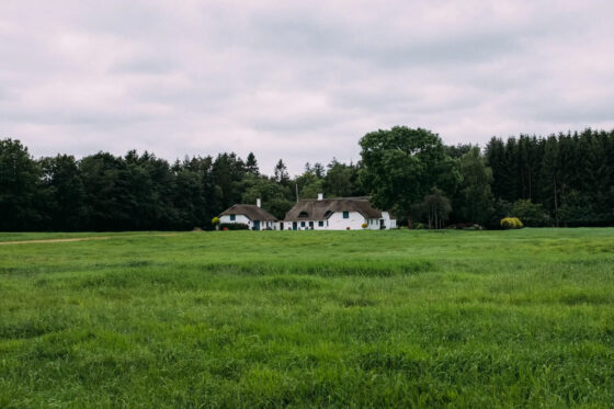 Bikepacking the Hærvejen family reunion denmark