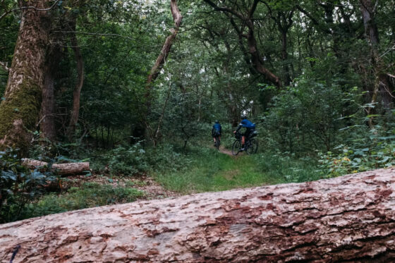 Bikepacking the Hærvejen family reunion offroad forest