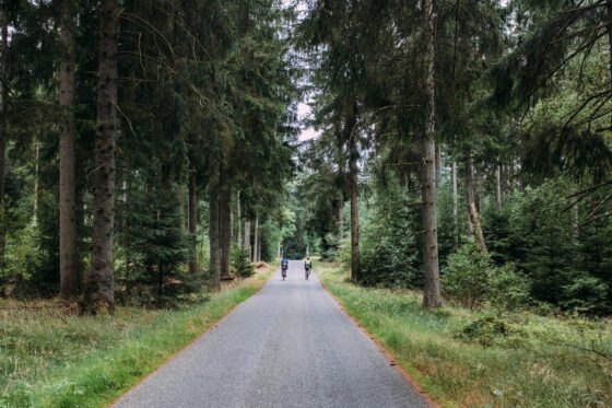 Bikepacking the Hærvejen family reunion paved roads