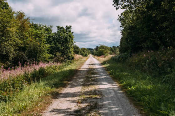 Bikepacking the Hærvejen gravel