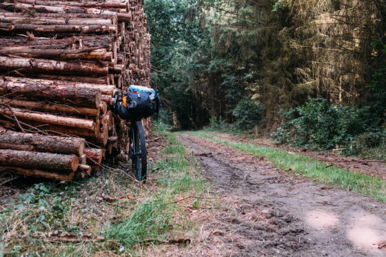 Bikepacking the Hærvejen nature forest