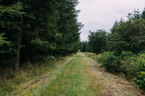 Bikepacking the Hærvejen route offroad