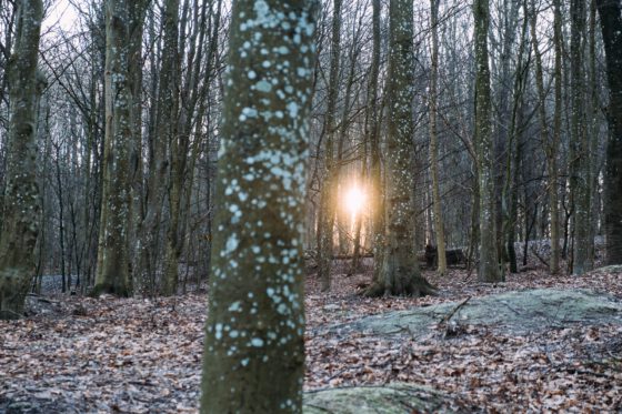 Sweden bikepacking sun winter