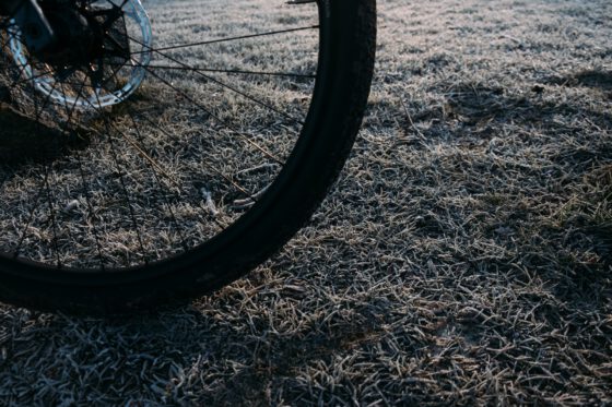 Bikepacking tires Teravail Sparwood