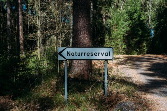 Dirty Halland gravel nature reserve