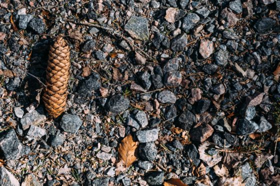 Dirty Halland gravel road Sweden