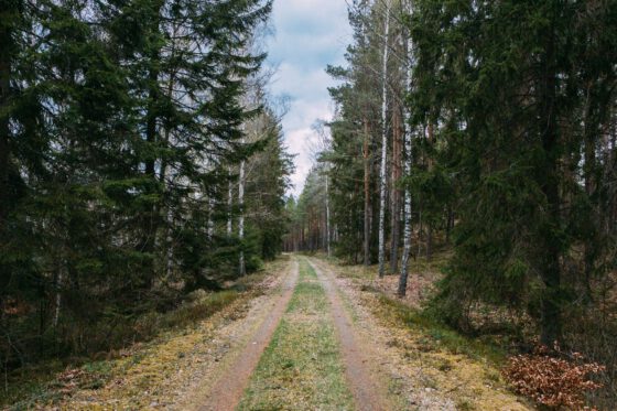 Sweden gravel road bikepacking