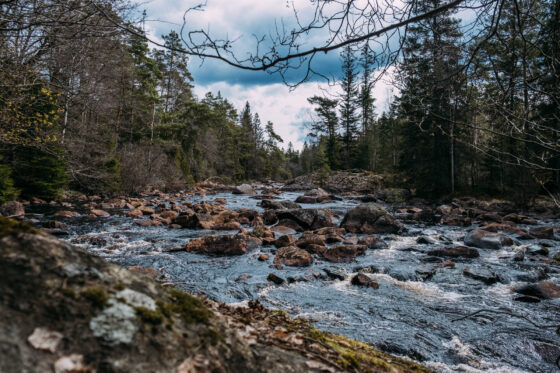 Bikepacking Banvallsleden Simlångsdalen