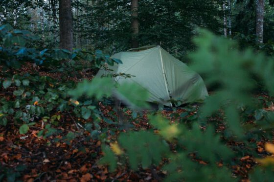Bikepacking Söderåsen sleeping camp tent