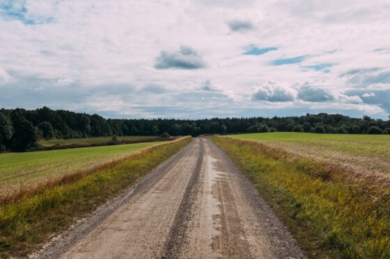 Bikepacking Sweden Söderåsen gravel