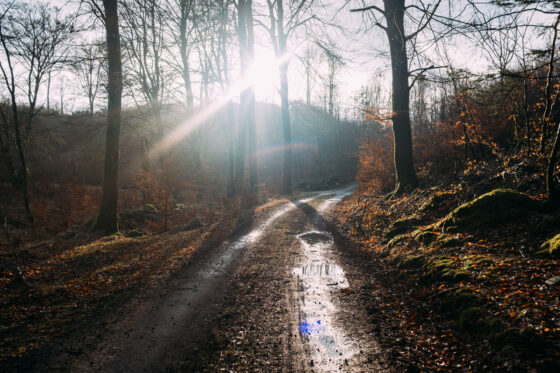 Farawayistan Winter Bikepacking Sweden Sun Gravel Road