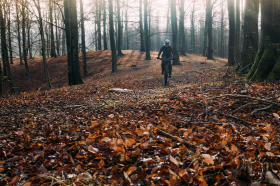 Farawayistan Winter Bikepacking Sweden Sun Singletrail Sabina