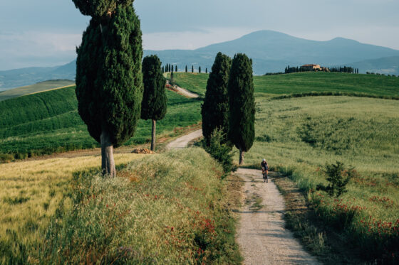 Credit Card Bikepacking Tuscany Gravel Strade Bianche Farawayistan