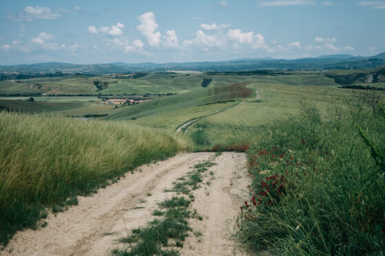 Credit Card Bikepacking Gravelbike Strade Bianche Tuscany Road