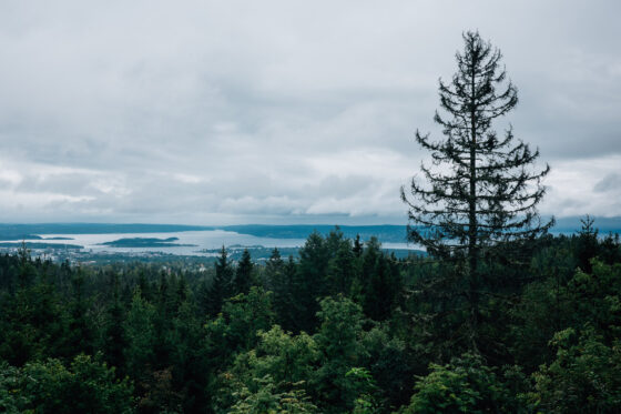 Oslo Norway Nordmarka Gravel Routes Weather Farawayistan