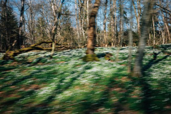 Sweden Skåne Nature Gravel Farawayistan