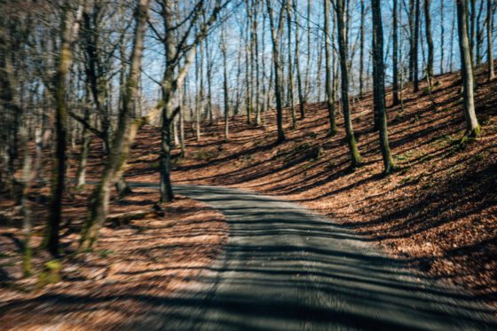 Sweden Skåne Nature Gravel Road Farawayistan