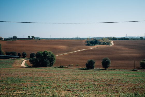 Girona Route Gravel Road Recovery Coffee Ride Farawayistan Banyoles