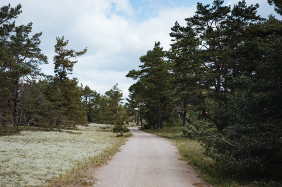 Farawayistan Bikepacking Camping Windshelter Gravel Southern Sweden Skane Blekinge