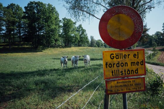 Farawayistan Bikepacking Camping Southern Sweden Blekinge Skane Gravel Road