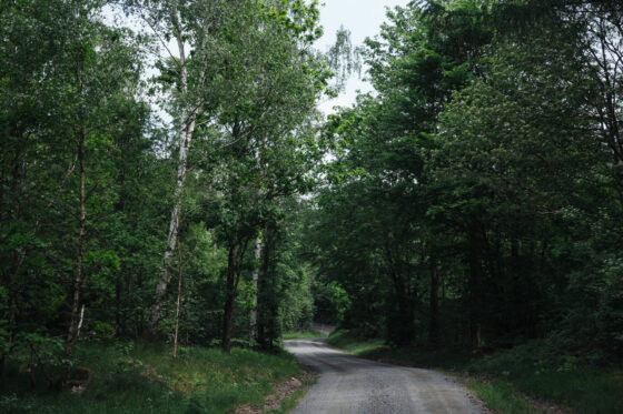 Farawayistan Bikepacking Camping Southern Sweden Skane Gravel Roads Forest