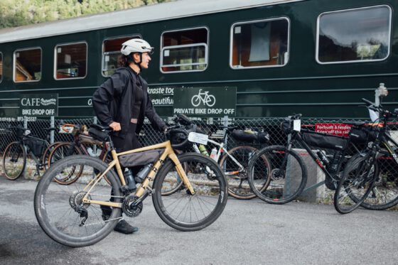 Dropping of the bike on the Flåmban train