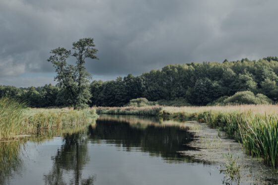Paddling canoe through lush Swedish countryside